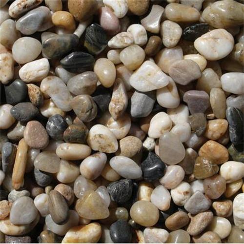 Natural cheap hot sale river pebble stone